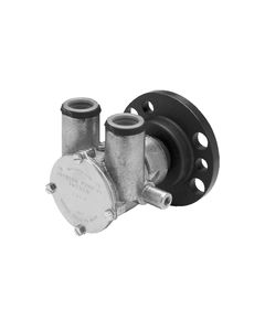 Johnson Pump 10-24228-1 Pump C/S Mounted Seawtr(F5B-9)